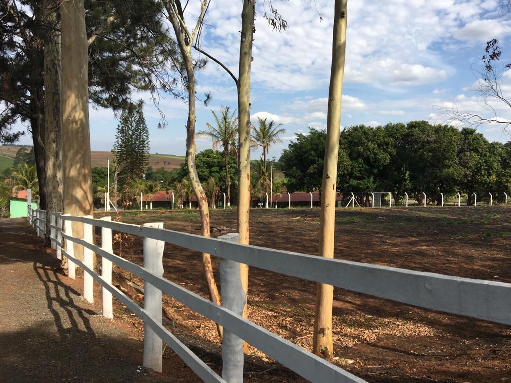 Fazenda à venda com 3 quartos, 1200m² - Foto 9