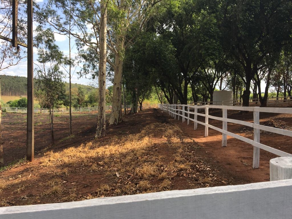 Fazenda à venda com 3 quartos, 1200m² - Foto 10