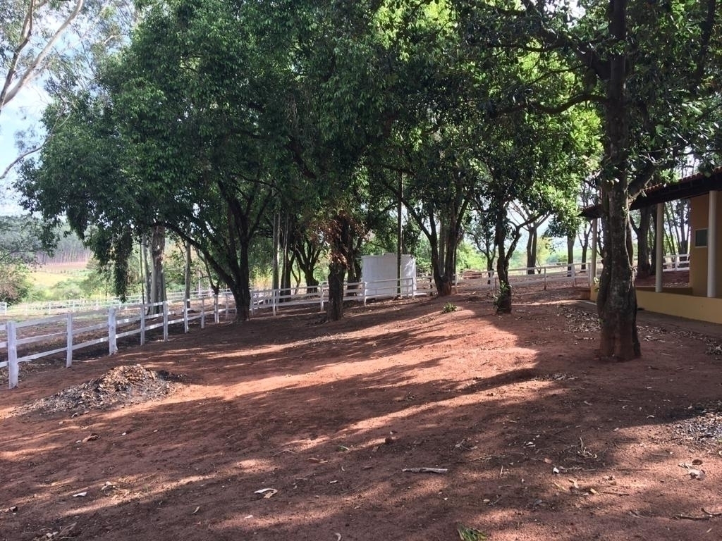 Fazenda à venda com 3 quartos, 1200m² - Foto 11