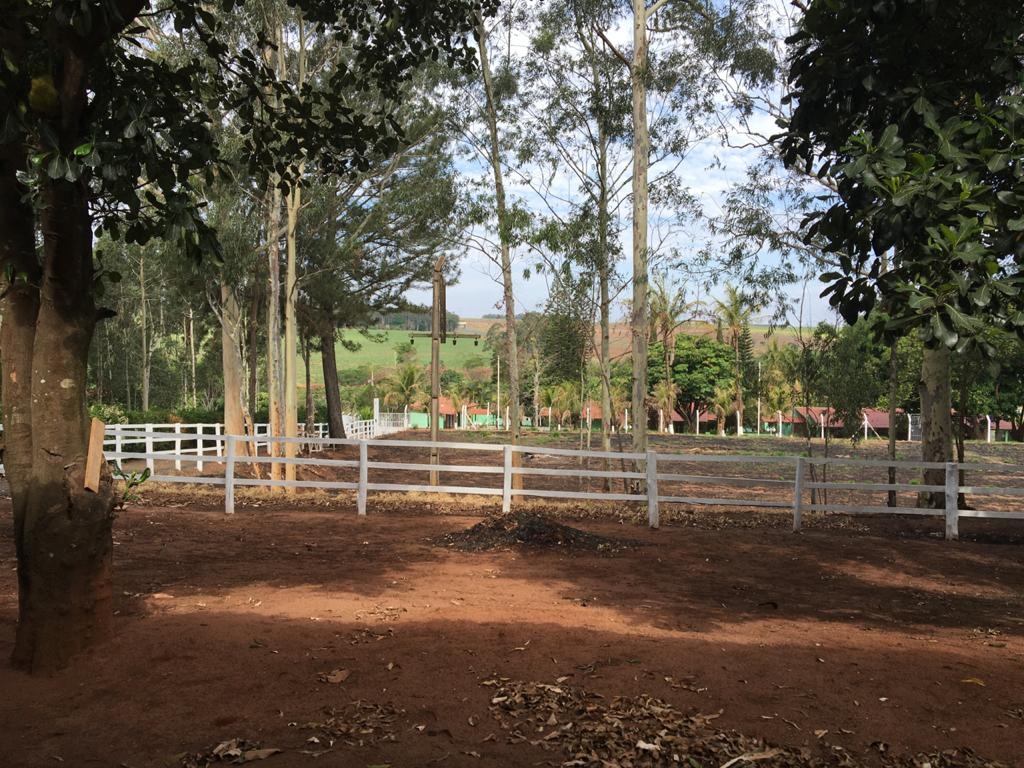 Fazenda à venda com 3 quartos, 1200m² - Foto 12