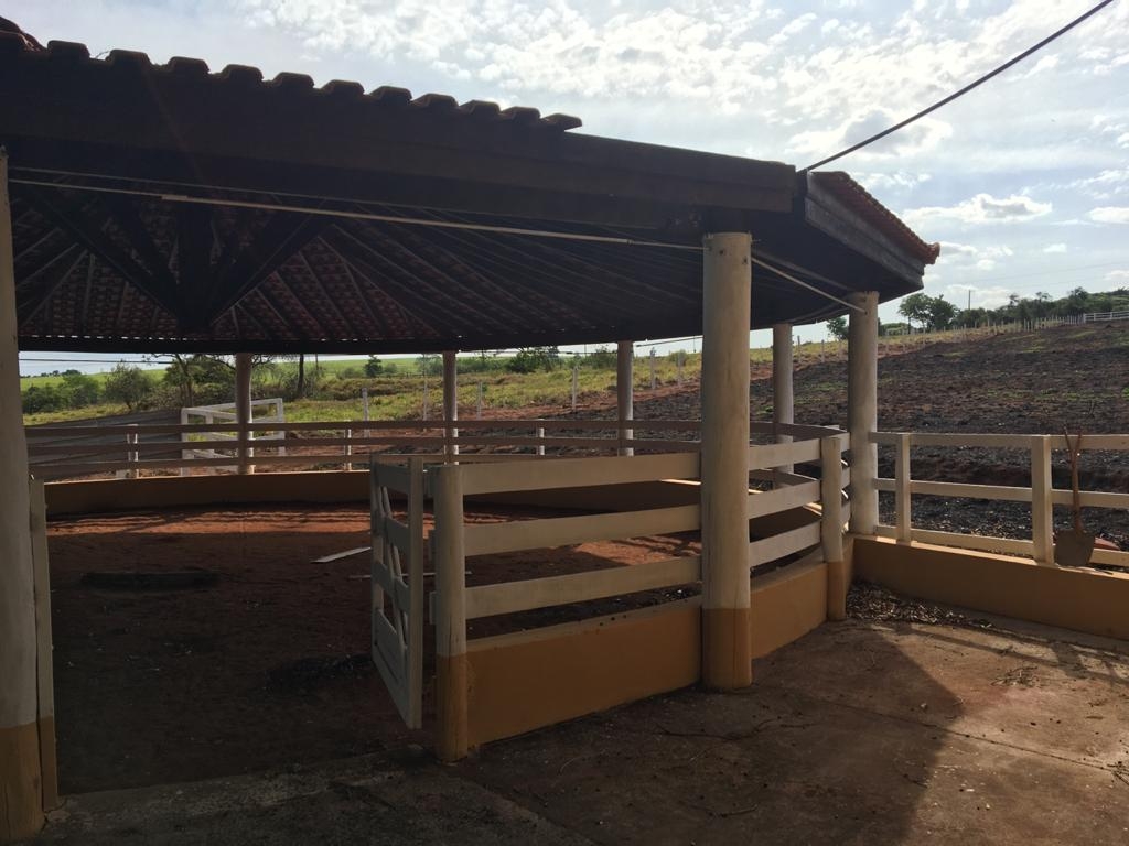 Fazenda à venda com 3 quartos, 1200m² - Foto 17