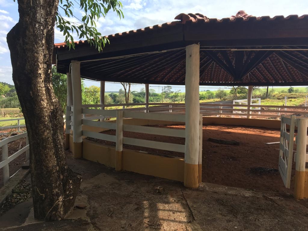 Fazenda à venda com 3 quartos, 1200m² - Foto 18