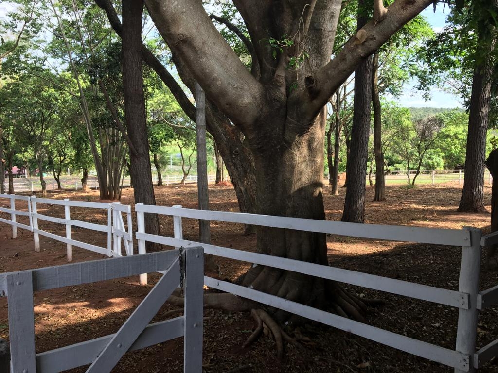 Fazenda à venda com 3 quartos, 1200m² - Foto 19