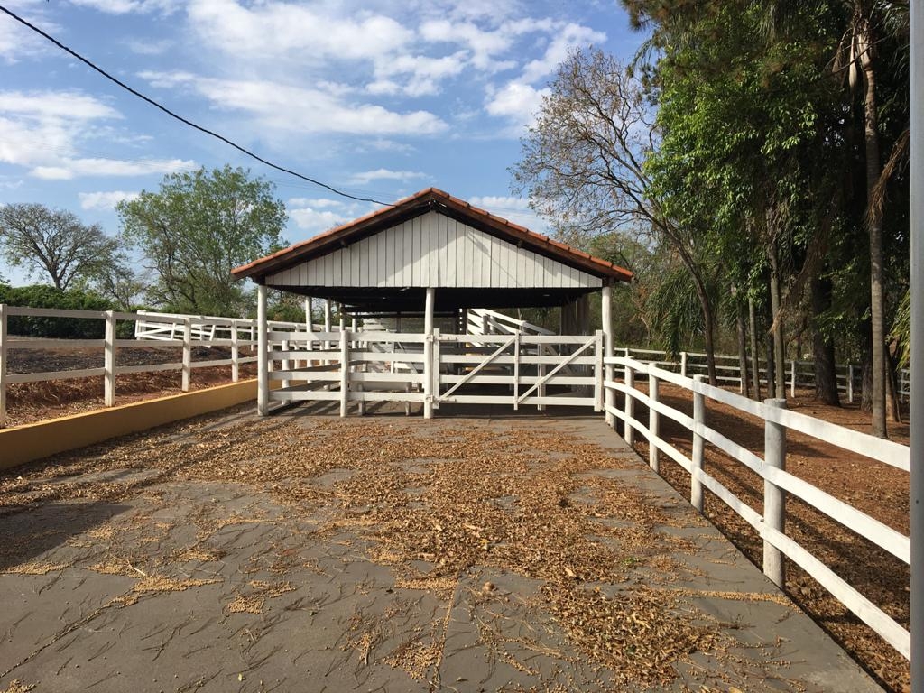 Fazenda à venda com 3 quartos, 1200m² - Foto 20