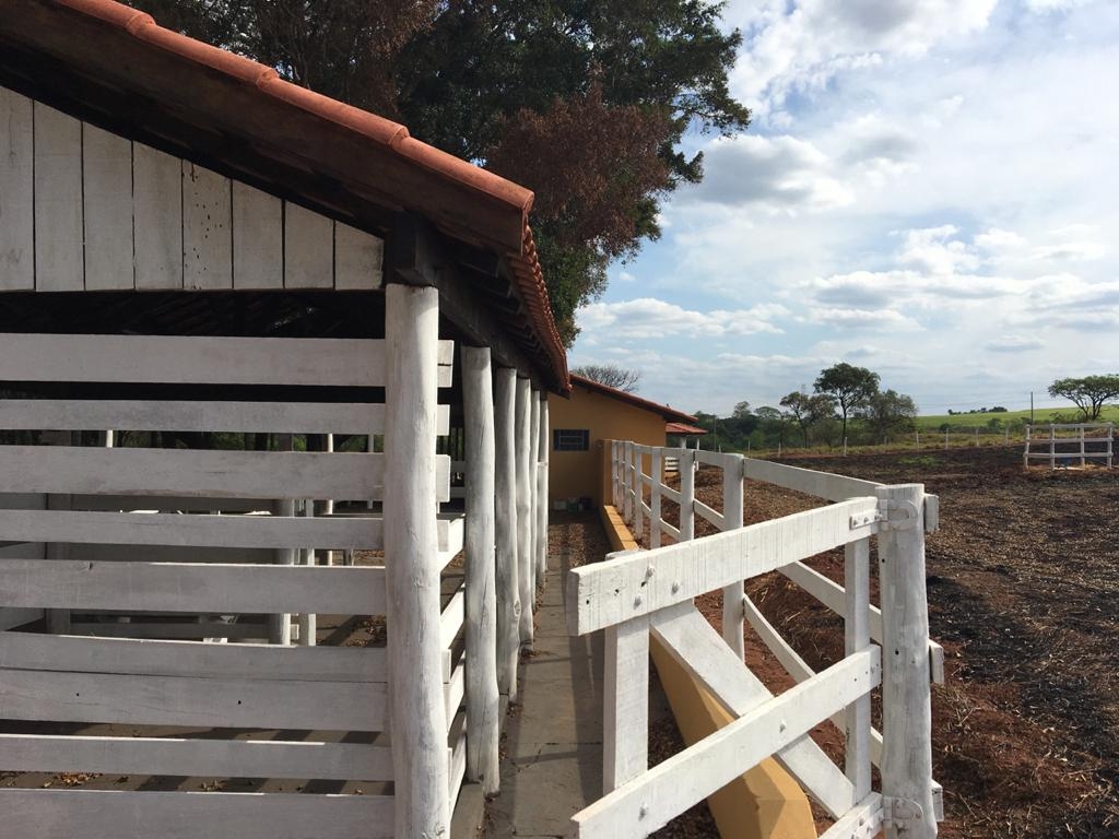 Fazenda à venda com 3 quartos, 1200m² - Foto 23