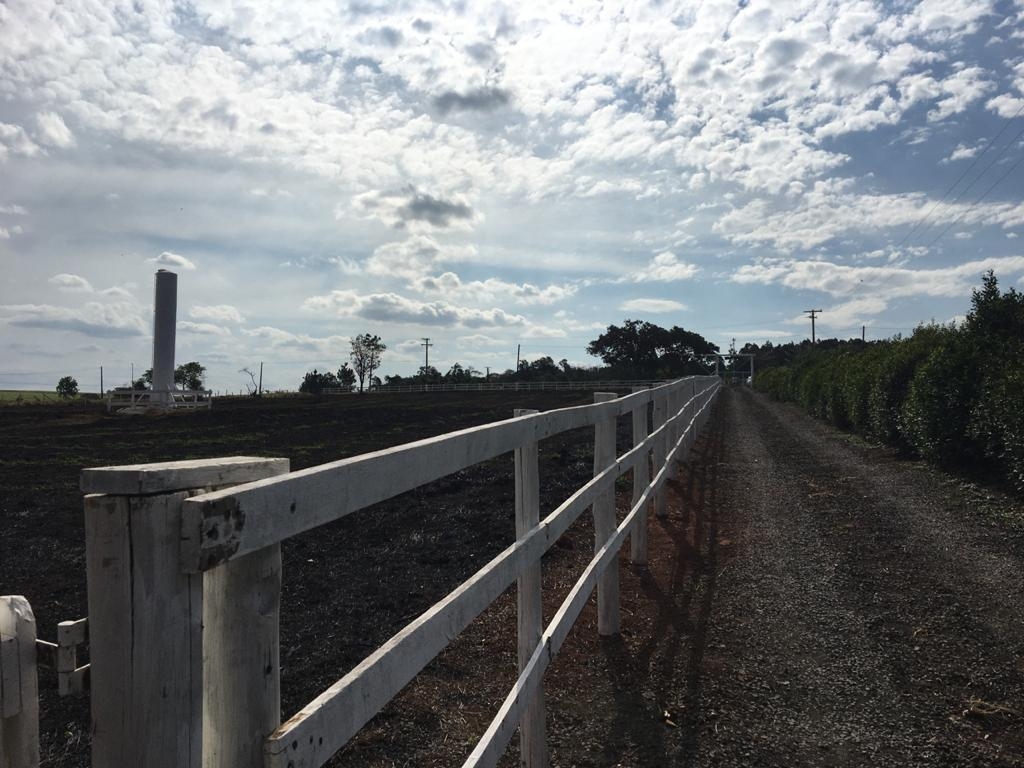 Fazenda à venda com 3 quartos, 1200m² - Foto 24