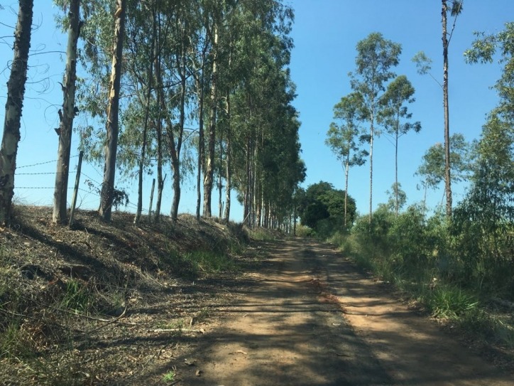 Terreno à venda, 380m² - Foto 5