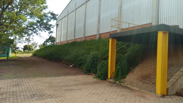 Depósito-Galpão-Armazém à venda, 6000m² - Foto 42