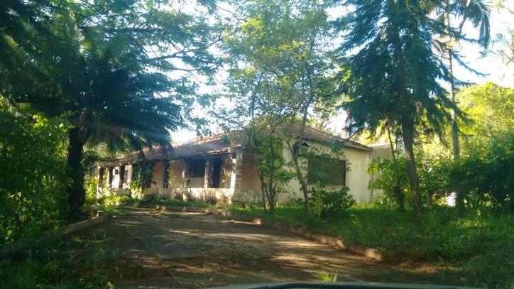 Fazenda à venda com 3 quartos, 250m² - Foto 2