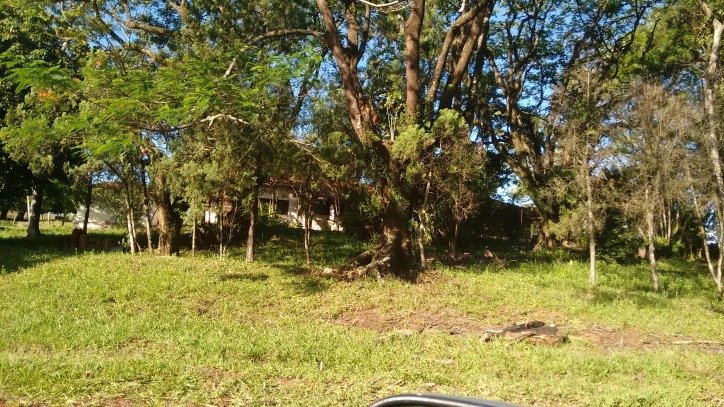 Fazenda à venda com 3 quartos, 250m² - Foto 10