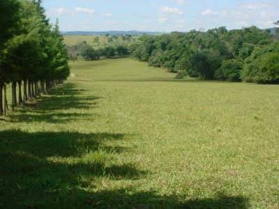 Fazenda à venda com 3 quartos, 42000m² - Foto 3