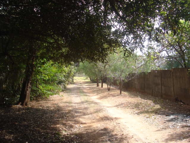 Fazenda à venda com 2 quartos, 3000m² - Foto 45