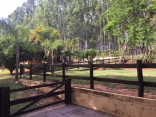 Fazenda à venda com 1 quarto, 60000m² - Foto 5