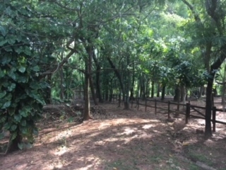 Fazenda à venda com 1 quarto, 60000m² - Foto 6