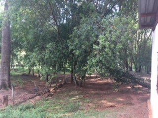 Fazenda à venda com 1 quarto, 60000m² - Foto 10