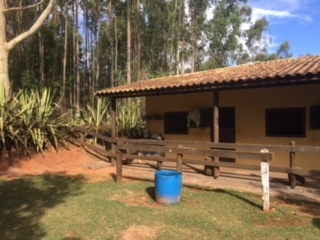 Fazenda à venda com 1 quarto, 60000m² - Foto 19