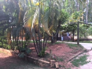 Fazenda à venda com 1 quarto, 60000m² - Foto 22