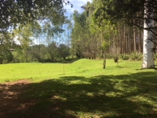 Fazenda à venda com 1 quarto, 60000m² - Foto 42