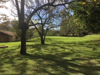 Fazenda à venda com 1 quarto, 60000m² - Foto 50