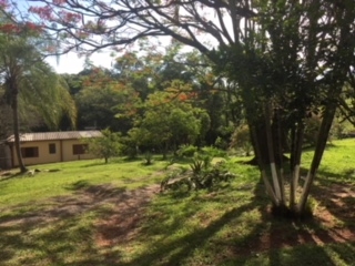 Fazenda à venda com 1 quarto, 60000m² - Foto 52