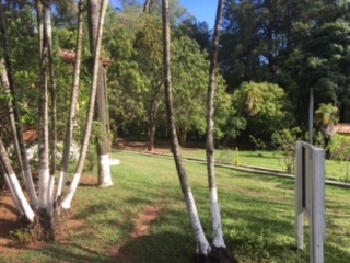 Fazenda à venda com 1 quarto, 60000m² - Foto 54