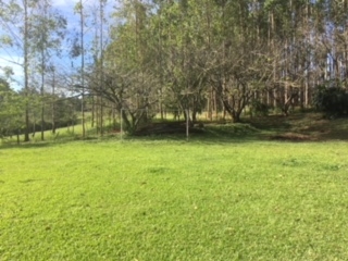 Fazenda à venda com 1 quarto, 60000m² - Foto 55