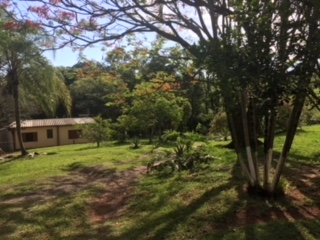 Fazenda à venda com 1 quarto, 60000m² - Foto 57