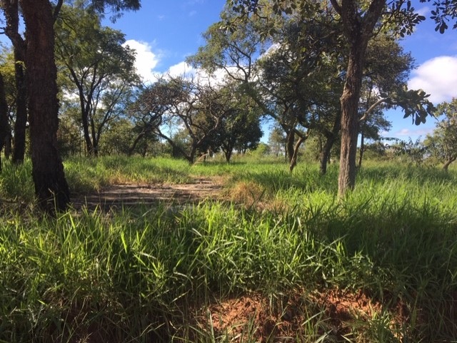 Terreno à venda, 10m² - Foto 2