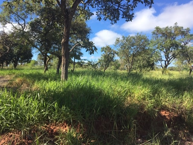 Terreno à venda, 10m² - Foto 4